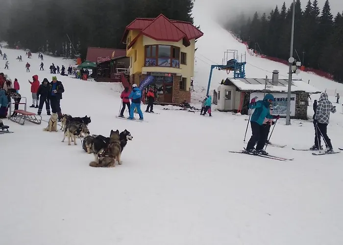 Snow Dreams 1 Grand Monastery بامبوروفو