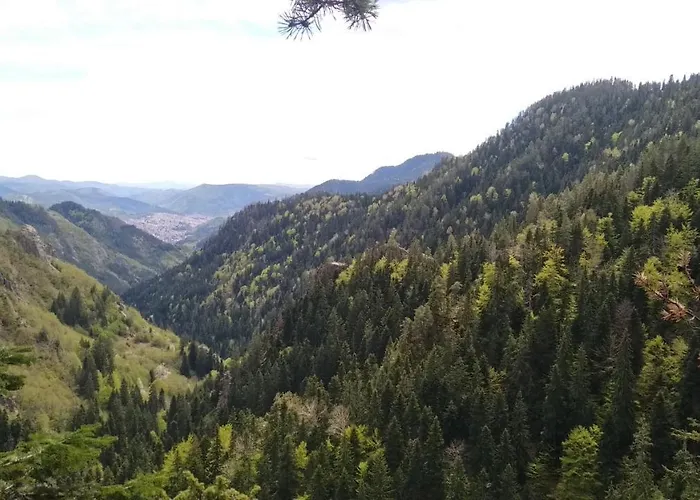 شقة Snow Dreams 1 Grand Monastery *