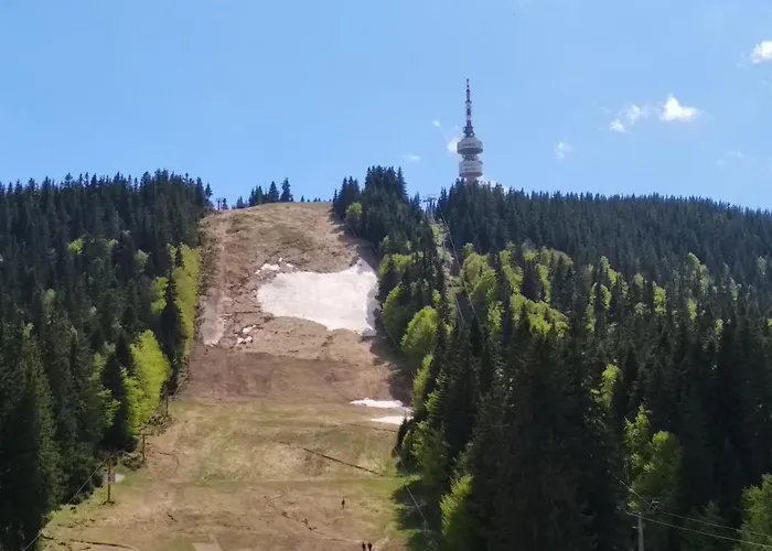 Snow Dreams 1 Grand Monastery بامبوروفو