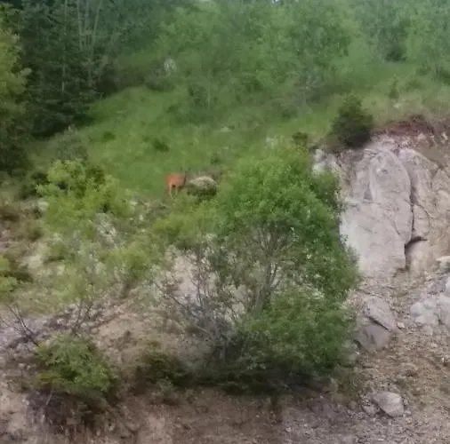 شقة Snow Dreams 1 Grand Monastery